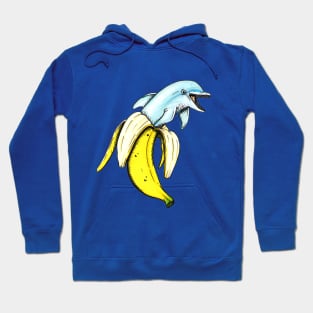 Dolphin Hoodie